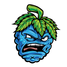 Cartoon of an aggressive-looking blue fruit, likely a berry, with an expressive face showing anger and a leafy green tuft on top resembling a hairstyle. The fruit has clenched teeth and bulging eyes against a solid black background.